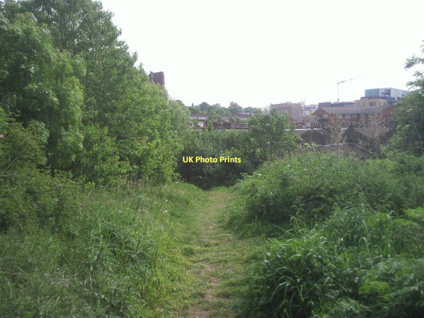 Photo 6"x4" The former Greenwich Park railway at Brookmill Park Deptford\/TQ3677 c2011