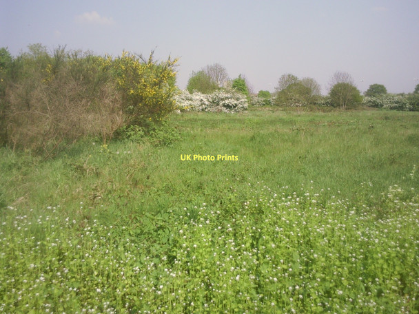Photo 6"x4" Hounslow Heath Feltham\/TQ1073 c2011 P1
