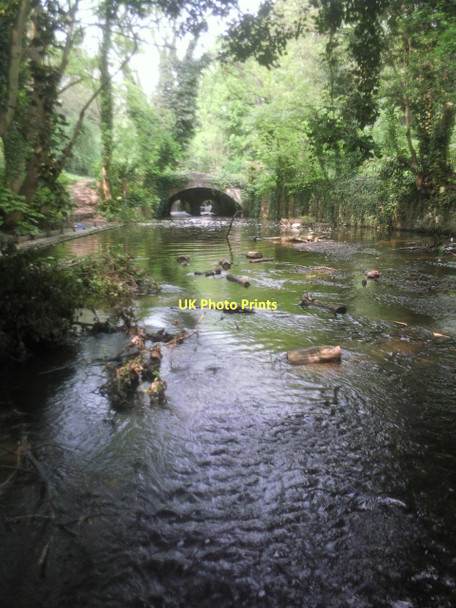 Photo 6"x4" River Crane south of Baber Bridge Feltham\/TQ1073 c2011
