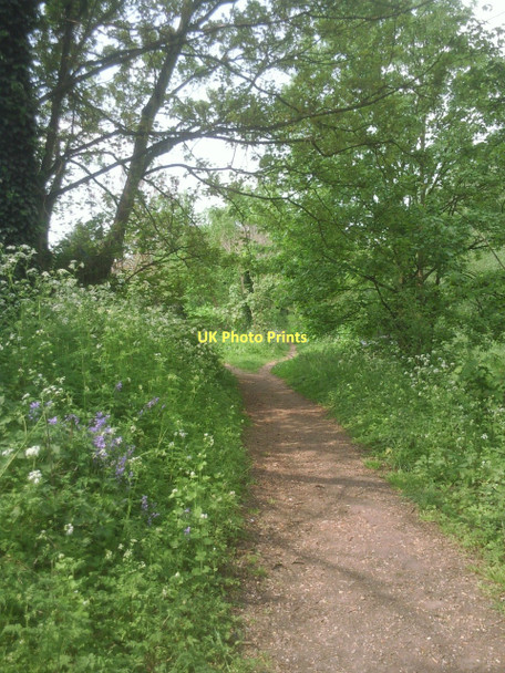 Photo 6"x4" The London LOOP approaches Baber Bridge Feltham\/TQ1073 c2011