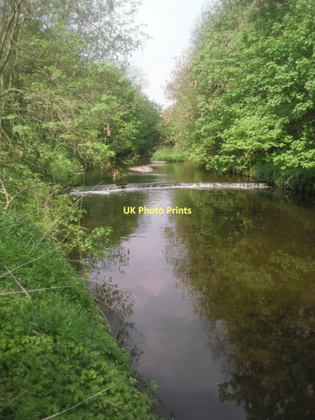Photo 6"x4" River Crane near Baber Bridge Feltham\/TQ1073 c2011