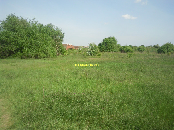 Photo 6"x4" Looking across Bedfont Pits Feltham\/TQ1073 c2011