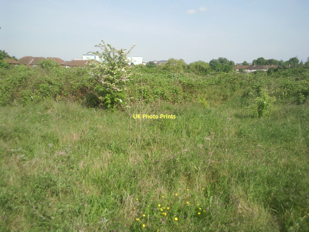 Photo 6"x4" View across Bedfont Pits Feltham\/TQ1073 c2011