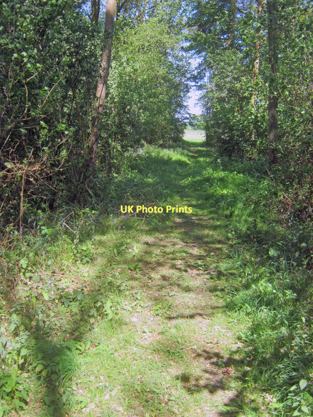 Photo 6"x4" Path through woodland on Brierley Hill Woodmancote\/SO9042 c2011