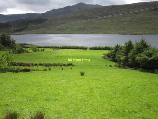 Photo 6"x4" Pasture land sloping down to Tawnyard Lough Drummin\/L9371 c2011