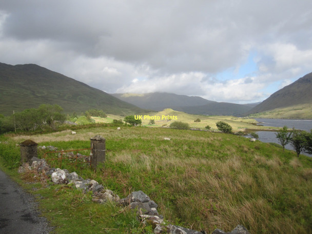 Photo 6"x4" Sheep pasture above Killary Harbour Leenaun c2011