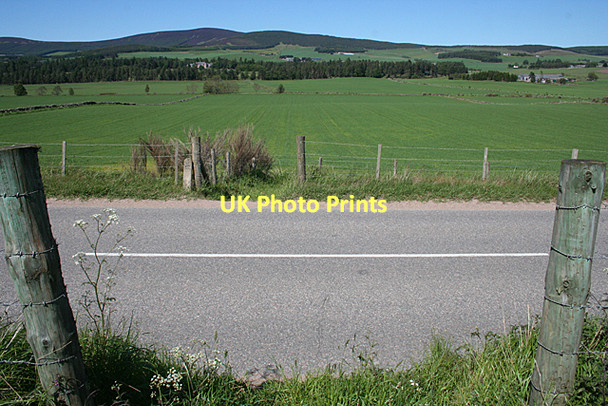 Photo 6"x4" Crossing the Road Tarland c2011