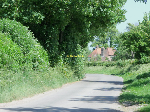 Photo 6"x4" Folkington Road, Folkington, East Sussex Folkington c2011