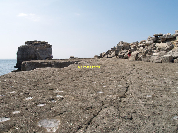 Photo 6"x4" Pulpit Rock, Portland Bill Southwell\/SY6870 c2011