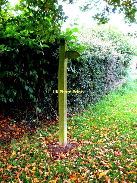 Photo 6"x4" Finger post by Severnlodge Cottage, Button Bridge Lane Coppicegate c2010