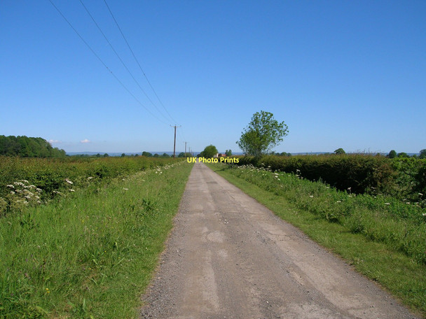 Photo 6"x4" Borough Mere Lane Ryton\/SE7975 c2011