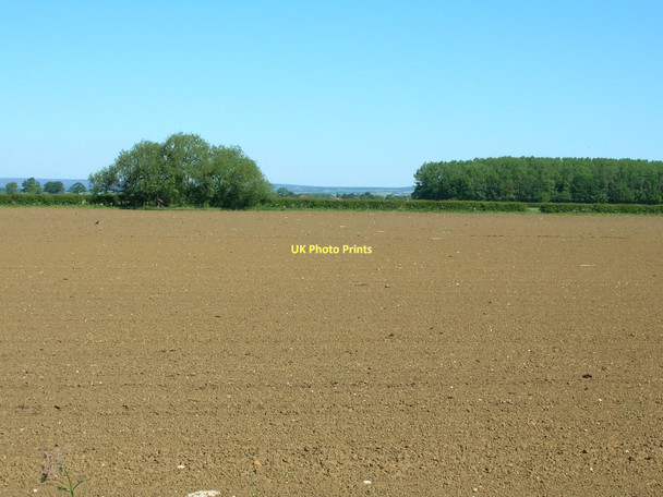 Photo 6"x4" Farmland near Windmill Farm Ryton\/SE7975 c2011