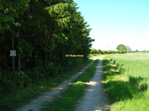 Photo 6"x4" Intake Lane (track) Ryton\/SE7975 c2011