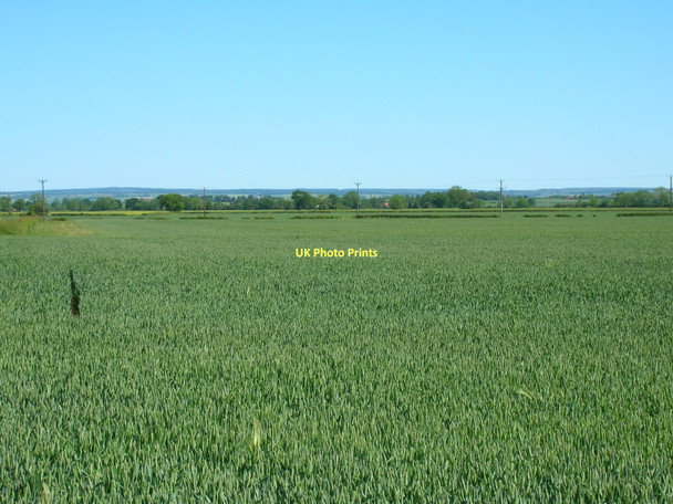 Photo 6"x4" Farmland near Riverdene Farm Great Habton c2011