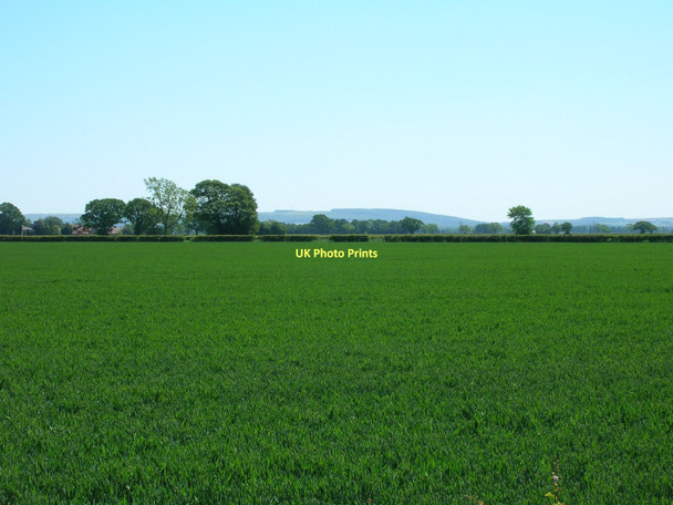 Photo 6"x4" Farmland off the A169 High Marishes c2011