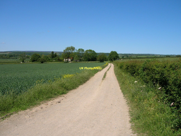 Photo 6"x4" Track to Hall Farm Marton\/SE7383 c2011