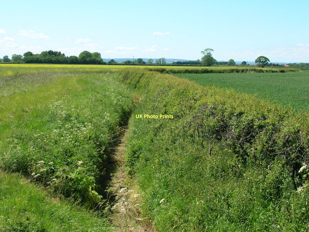 Photo 6"x4" Dry drainage ditch off Wandale Lane Normanby\/SE7381 c2011