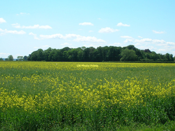 Photo 6"x4" Farmland off Wandale Lane Normanby\/SE7381 c2011