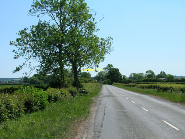 Photo 6"x4" Newsham Lane towards Little Habton Great Habton c2011