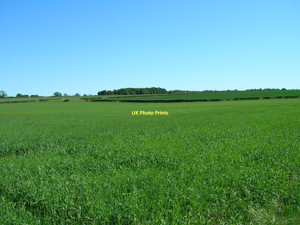 Photo 6"x4" Farmland near Amotherby Swinton\/SE7573 c2011