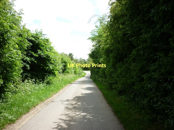 Photo 6"x4" Jackey Lane, near Burton Constable Estate Old Ellerby c2011