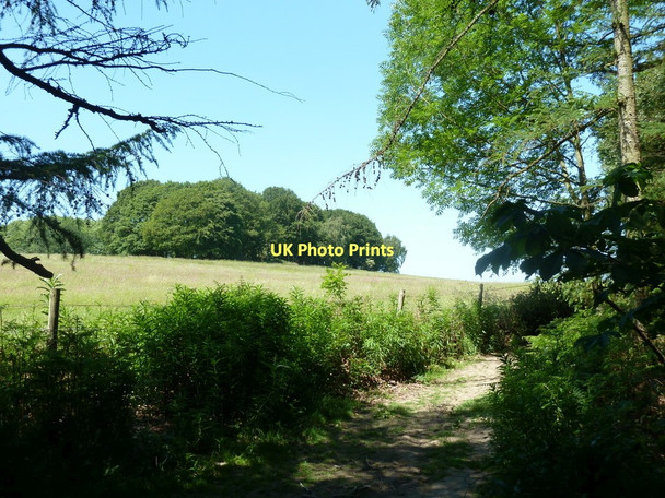 Photo 6"x4" Path by the edge of Walton Wood Swathwick c2011