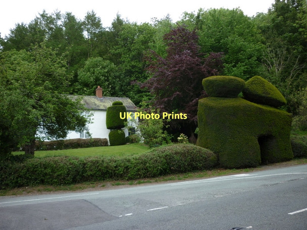 Photo 6"x4" Park Cottage and garden Plowden c2011