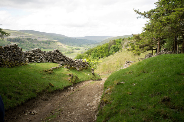 Photo 6"x4" Highgate Leys Lane Kettlewell c2011