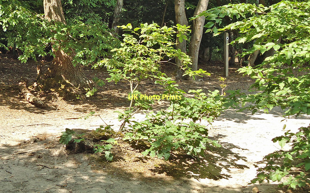 Photo 6"x4" Turn right for Nature Trail Danbury\/TL7705 c2011