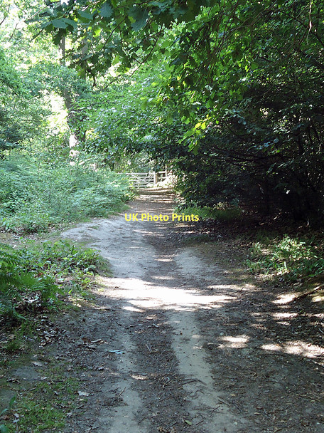 Photo 6"x4" Post 4, Nature Trail Danbury\/TL7705 c2011