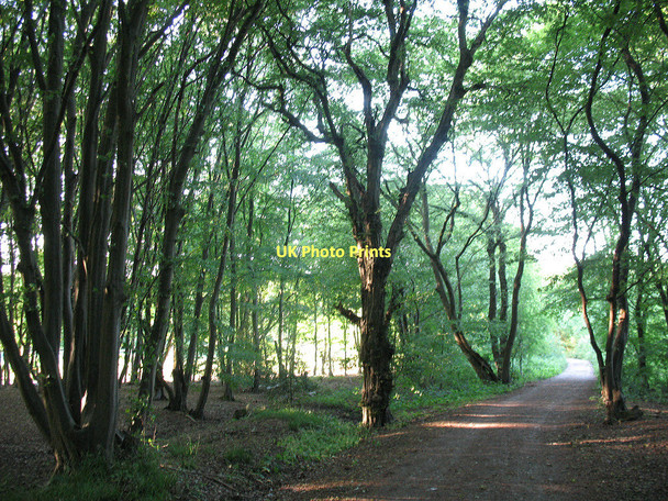 Photo 6"x4" Ermine Street through Great Grove Hoddesdon c2011