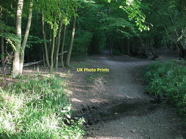 Photo 6"x4" Minor ford across Ermine Street Hoddesdon c2011