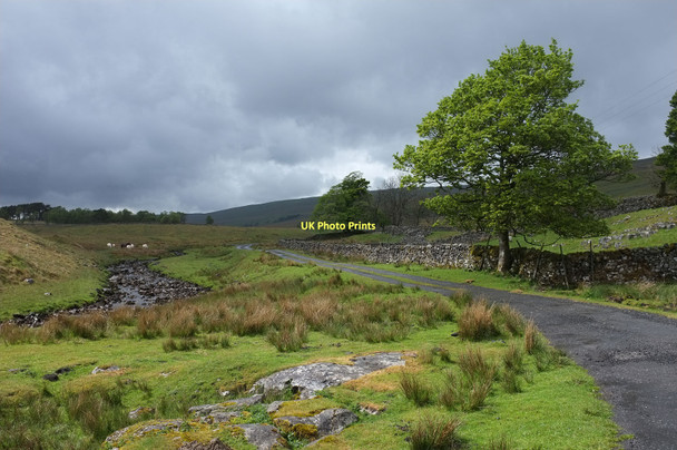 Photo 6"x4" The road to Nethergill and Swarthgill Oughtershaw c2011