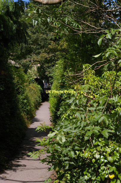 Photo 6"x4" Sheepscombe: footpath leading to lower entrance of school Sheepscombe c2011
