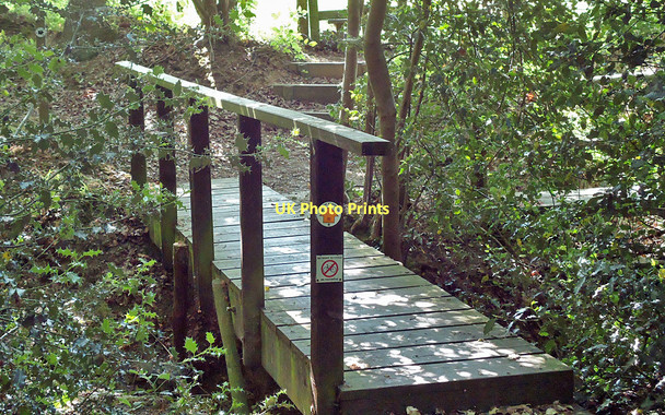 Photo 6"x4" Footbridge into Birch Wood Danbury\/TL7705 c2011