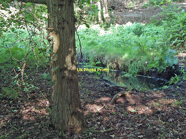 Photo 6"x4" Trench nr Post 9, Nature Trail Danbury\/TL7705 c2011