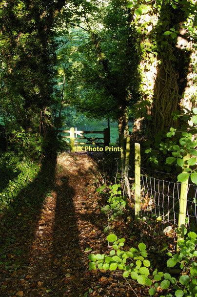 Photo 6"x4" Sheepscombe, Far End: public footpath leading down into the valley Sheepscombe c2011