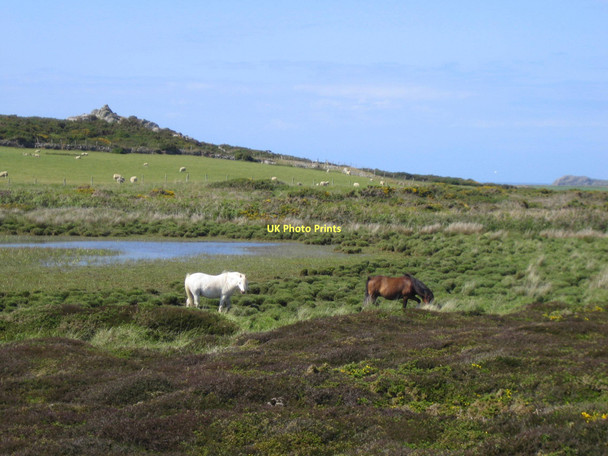 Photo 6"x4" Pool on headland above Ogof Mrs Morgan Treginnis c2011