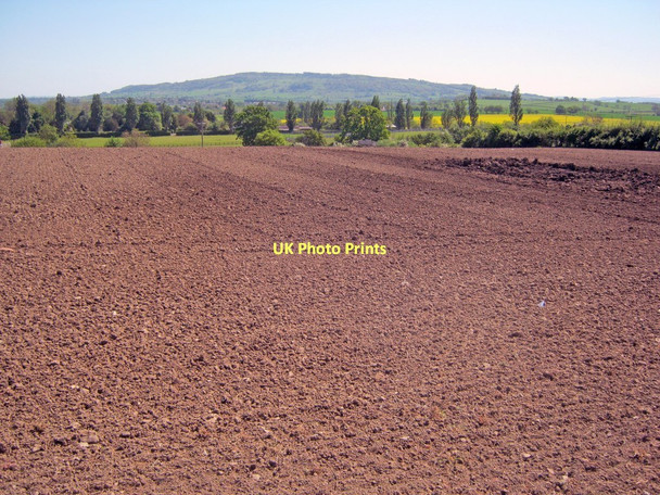 Photo 6"x4" Arable land at Baughton Hill Farm Hill Croome c2011