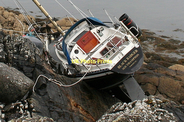 Photo 6"x4" Black badger set on the rocks Laga c2011
