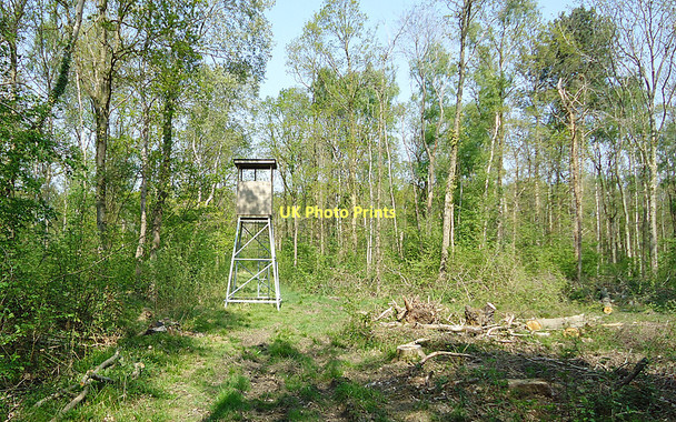 Photo 6"x4" Viewing platform, Theberton Woods Theberton c2011