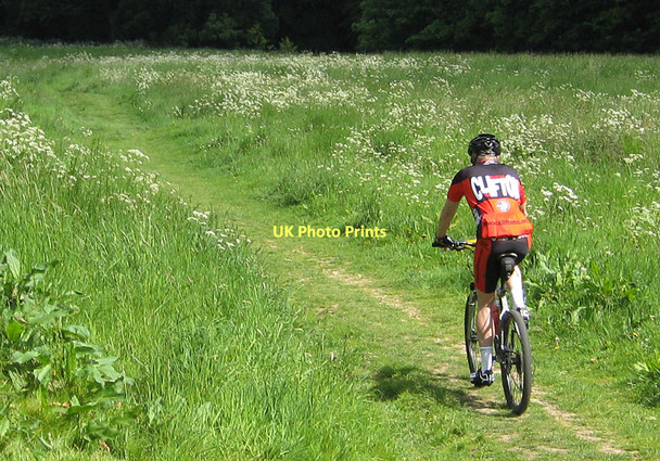 Photo 6"x4" An orienteer heading for Kirkdale Woods Welburn\/SE6884 c2011
