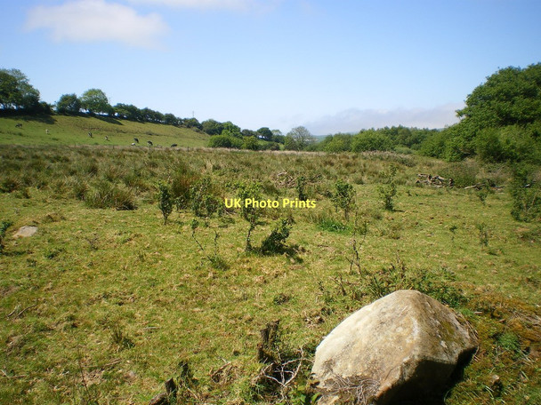 Photo 6"x4" Rough grazing land at Gellifawr Pentrisil c2011