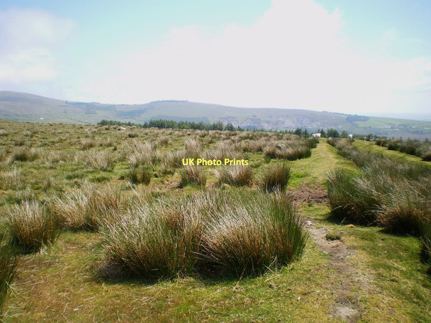 Photo 6"x4" Bridleway south of Cerrig Lladron Greenway\/SN0630 c2011