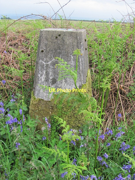Photo 6"x4" Triangulation pillar, Gallowridge Culross c2011