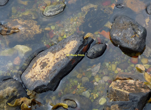 Photo 6"x4" Rising tide at Loch Levenside Kinlochmore c2011