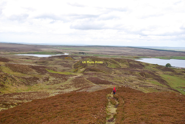 Photo 6"x4" The Yarrows Archaeological Trail Borrowston c2011