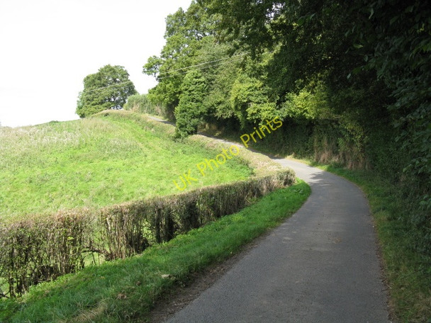Photo 6"x4" Camp Lane At Hillside Farm Birch Berrow c2009