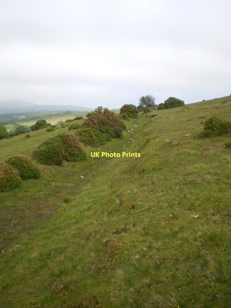 Photo 6"x4" Ancient trackway on Foel Drygarn Crymych c2011