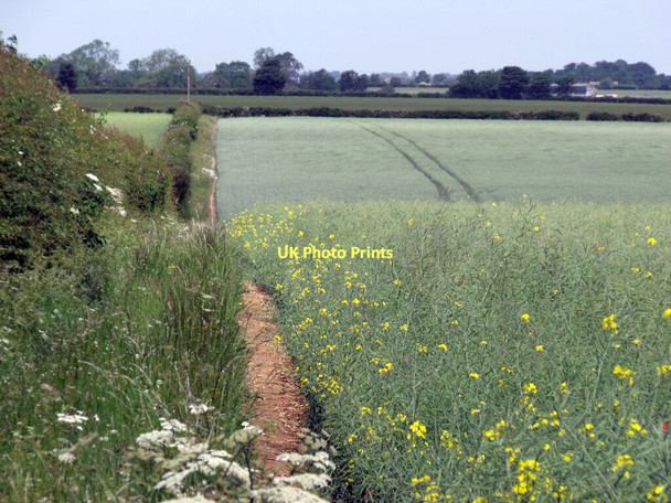 Photo 6"x4" Public Footpath off Horncastle Lane Riseholme c2011